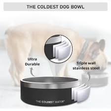 Personalized Coldest Dog Bowl